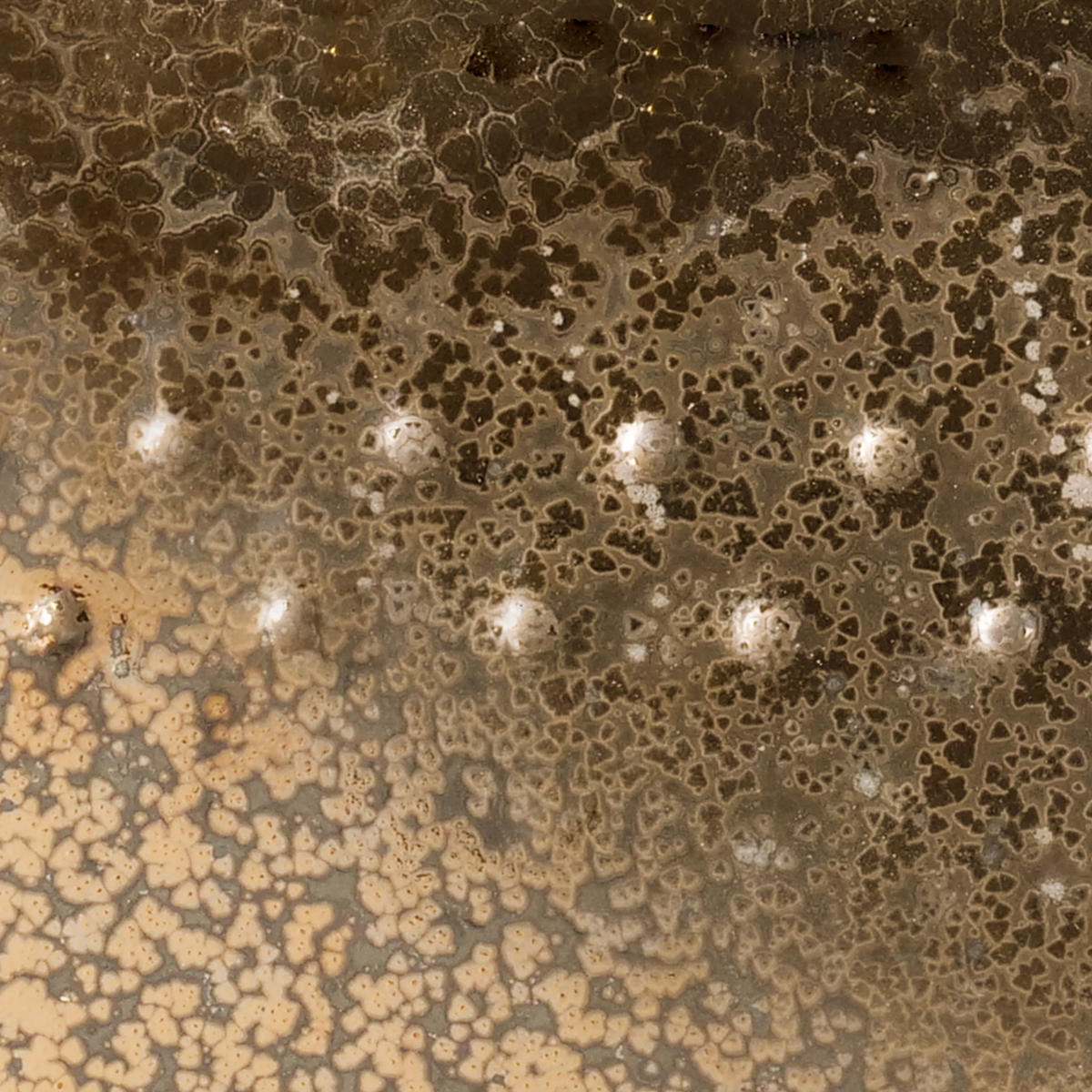 AMACO PC9 Vintage Gold